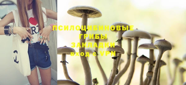 шишки Балахна