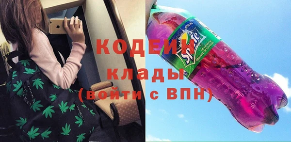 шишки Балахна