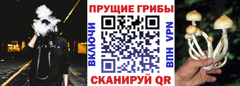 Псилоцибиновые грибы ЛСД  закладки  Наволоки 